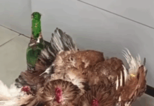 Oferenda é encontrada em agência do Banco do Brasil